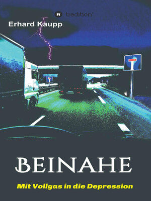 cover image of Beinahe